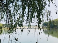 -昆山城市生态森林公园