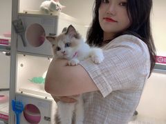 -lincat·猫舍(广州店)