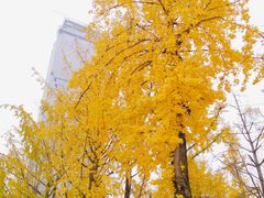 -百林公园-两江幸福广场