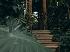 -郑州植物园