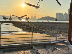 -海云台海滩