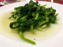 酒香豆苗-老吉士酒家(天平路店)