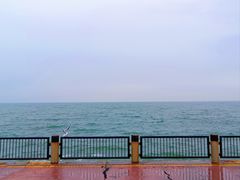 -东堤公园