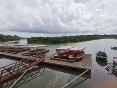 -东寨港红树林旅游区