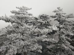-华山风景名胜区