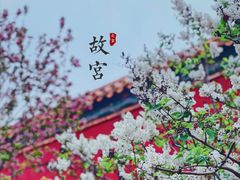 -故宫博物院(故宫)
