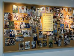 -翊宠yipet猫狗购宠庄园犬舍•猫舍