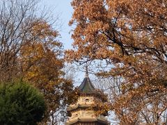-灵谷景区