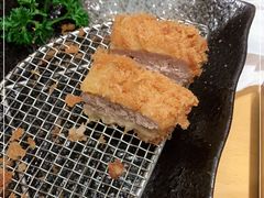 -胜博殿日式炸猪排(西红门店)