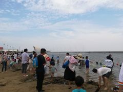 -碧海金沙