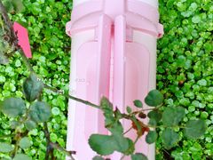 -麦德龙(湖里店)