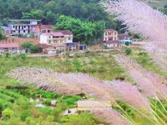 -窦圌山风景区