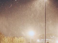 -东方饺子王(新奥购物中心店)