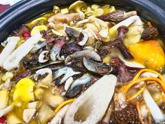 -菌之家·专业纯野生菌火锅·特色炒菌