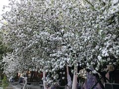 -大唐博相府酒店·陕西官府菜