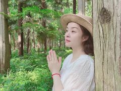 -上海怡沁园度假酒店