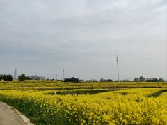 -三圣花乡旅游区