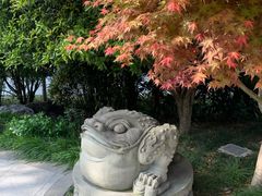 -活水公园