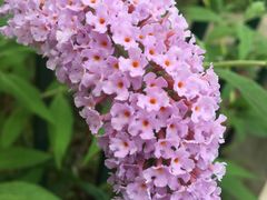 -北京上庄水库尚野露天户外自助烧烤