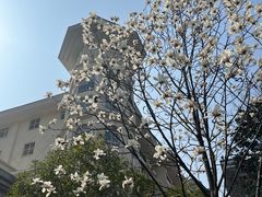 -安庆碧桂园凤悦凤凰酒店(市政务中心店)