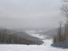 -亚布力新体委滑雪场