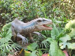 -海南热带野生动植物园
