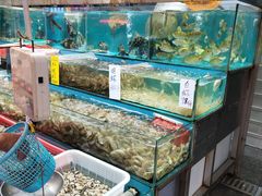 水产区-新享乐海鲜(翠华路店)