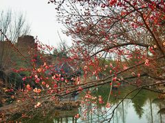 -水绘园