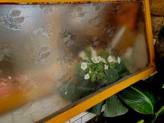 -知物癖(牛王庙店)