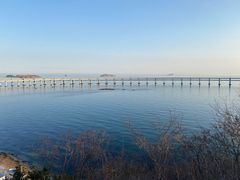 -星海湾跨海大桥