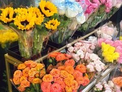 -溪岸路花鸟市场