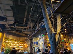 -同仁四季椰子鸡(宝安壹方城店)