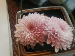 android_upload_pic-上海璞麗酒店