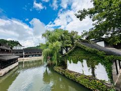 -鲁镇