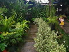 -Ohkajhu Organic Farm Sansai