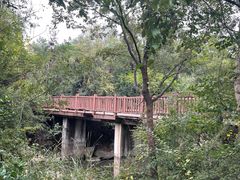 -江苏三台山国家森林公园