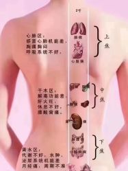 点击看大图 -香薇妮丝女子减肥院