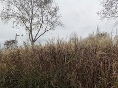 -上海山野camping·户外天幕烧烤·团建拓展营地