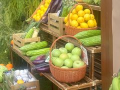 -蘑界·野生菌火锅(深业上城店)