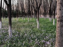 -东郊湿地公园