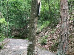 -鄣山大峡谷