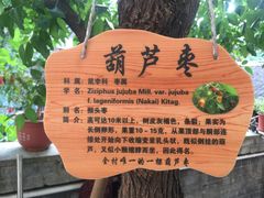 -何适山庄 ·可团建(水长城P2停车场店)