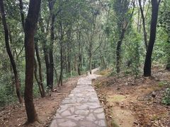 -岳麓山风景名胜区