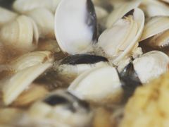 -拾下卜卜贝•海鲜火锅