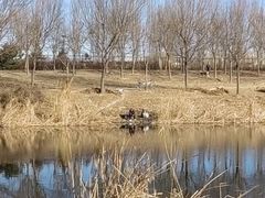 -马家湾湿地公园