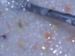 -素满香·食养自助(天一广场店)
