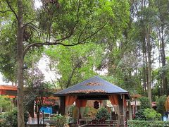 -二荆条·蜀鲜汇城市森林火锅