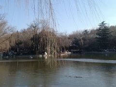 -西安市长乐公园