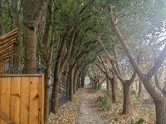 -亲兄弟真人CS团建拓展基地