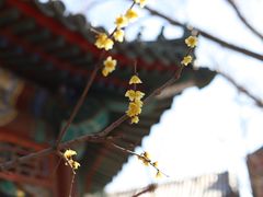 -月坛公园
